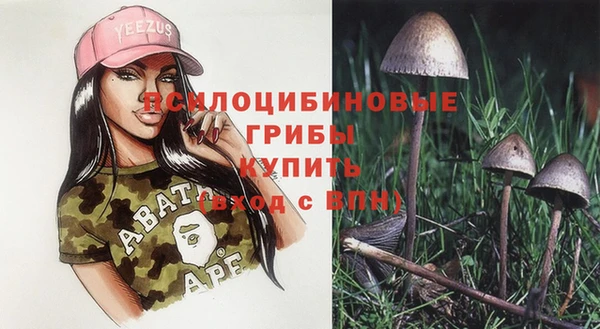 apvp Дмитровск