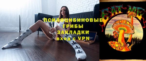 прущая мука Дмитриев