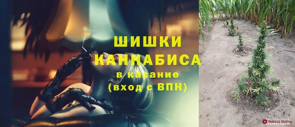 прущая мука Дмитриев