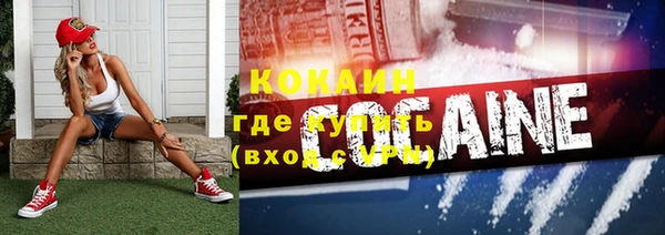 прущая мука Дмитриев