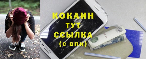 прущая мука Дмитриев